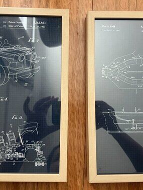 2 Disneyland Park prints framed